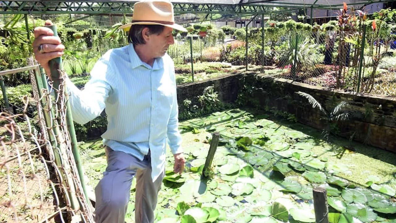 Aurelio Meza con sombrero junto a un estanque con plantas acuáticas y hojas de loto en un vivero.