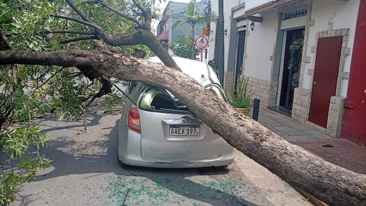 Árbol caído sobre un auto en el centro de Asunción