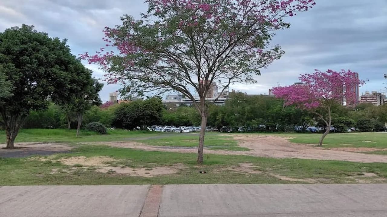 Cielo parcialmente nublado sobre una zona verde de Asunción