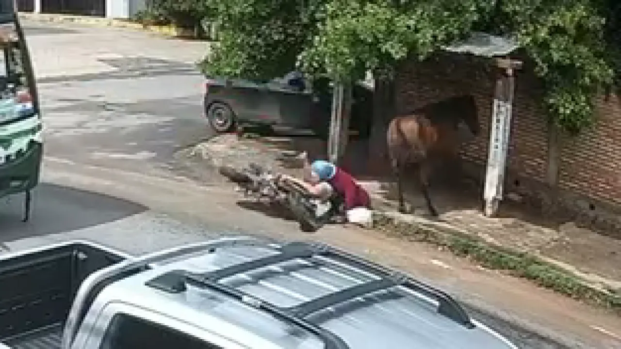 Motocicleta caída en la banquina junto a un caballo marrón parado cerca de una pared en una esquina urbana.