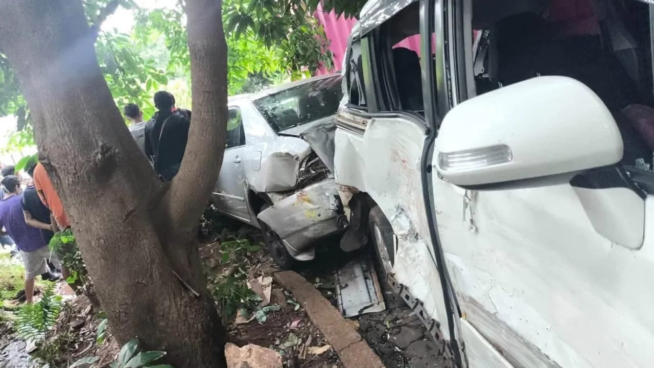 Vehículos blancos severamente dañados tras un violento choque múltiple en una zona arbolada.
