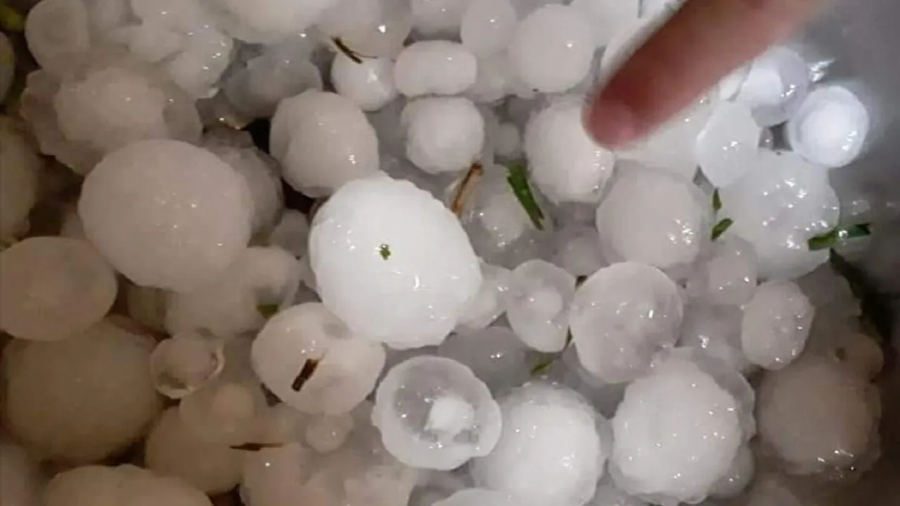 Gran cantidad de esferas de granizo de hielo blanco acumuladas, señaladas por el dedo de una persona