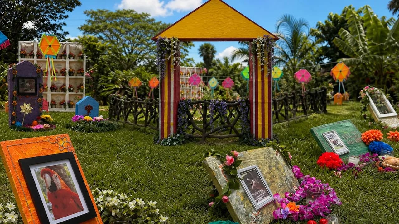 Altar al aire libre en un jardín con flores, papalotes de colores y marcos con fotos de animales fallecidos.