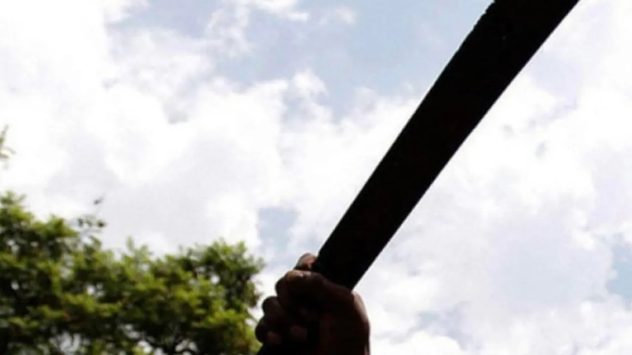 Mano sosteniendo la empuñadura de un machete apuntando hacia un cielo nublado con follaje de fondo.