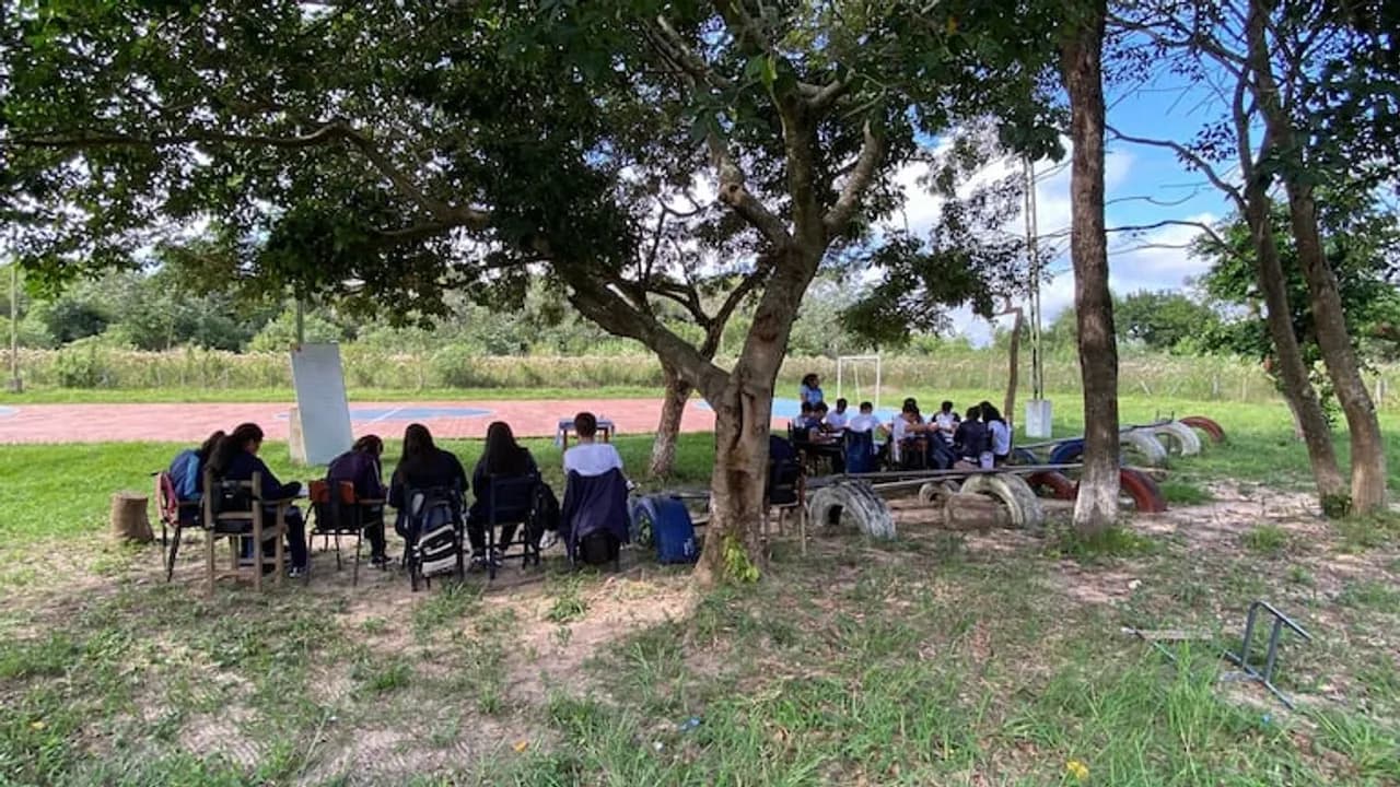 Estudiantes sentados en círculo con pupitres bajo la sombra de un árbol grande en un patio escolar.