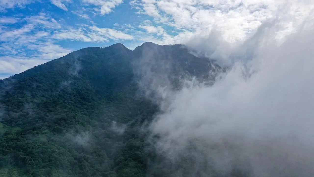 Montañas cubiertas de densa vegetación verde con espesa niebla blanca y cielo azul con nubes