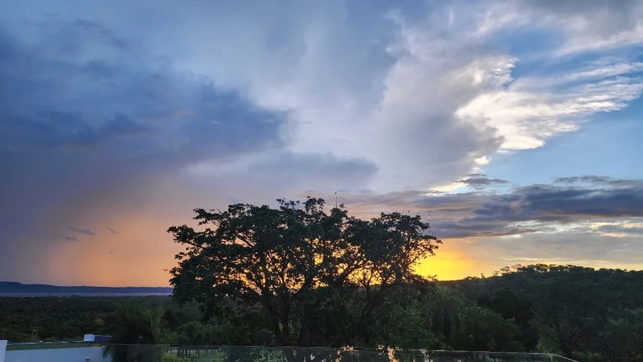 Cielo crepuscular con tonos dorados y nubes densas detrás de la silueta de la copa de un árbol.