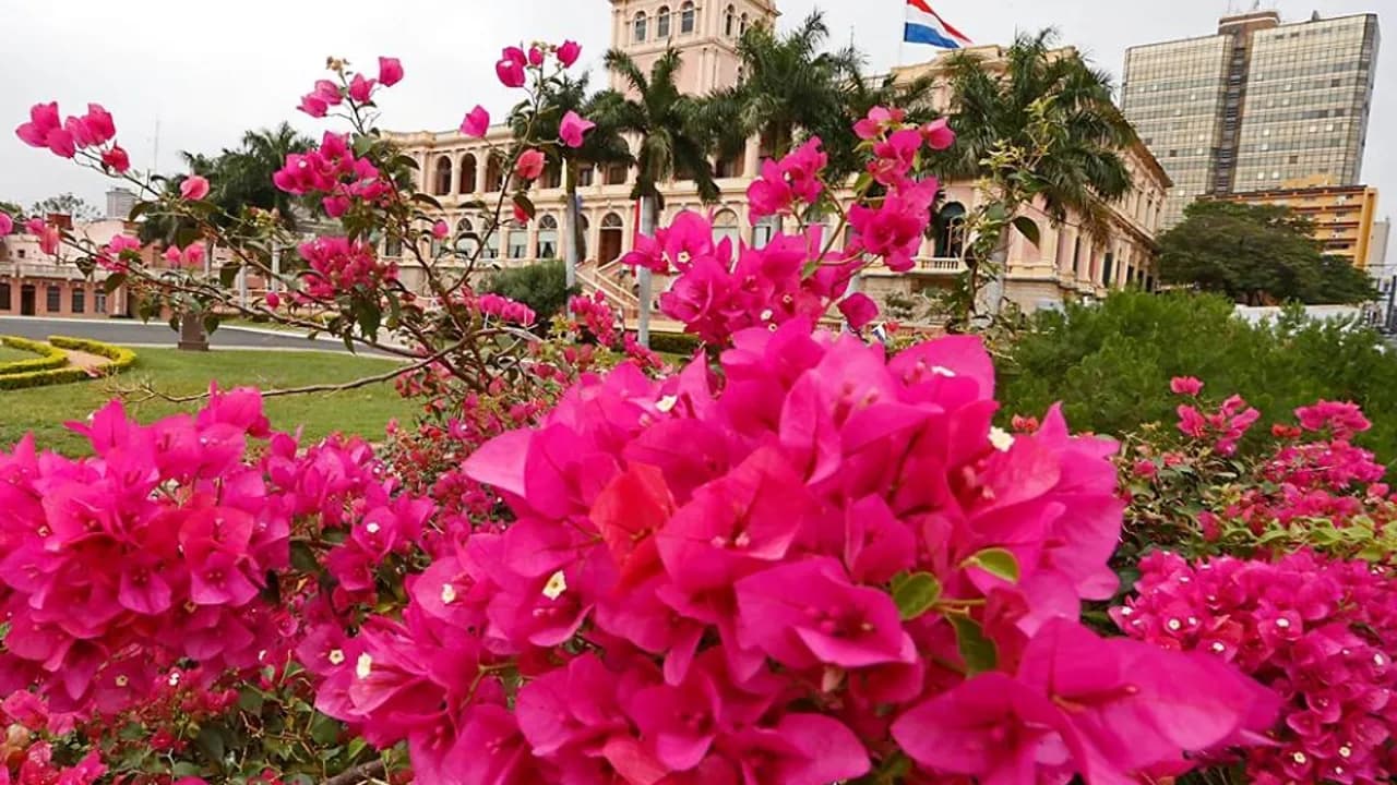 Fachada del Palacio de López en Asunción con flores fucsias en primer plano y cielo nublado de fondo.