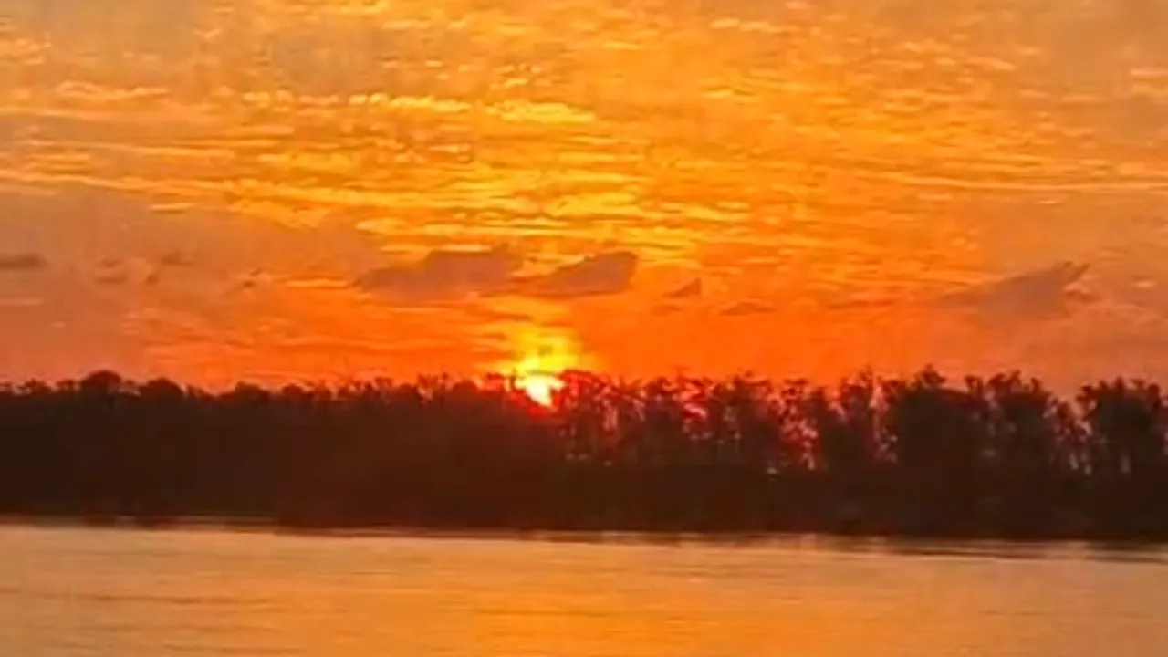 Cielo anaranjado durante el atardecer sobre una hilera de árboles a orillas de un río.