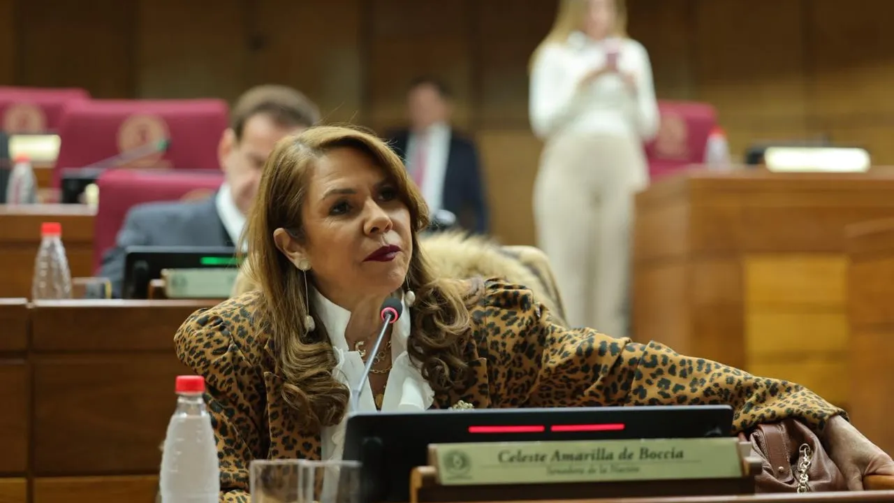 Celeste Amarilla sentada en su banca de la Cámara de Senadores frente a un micrófono durante una sesión oficial.