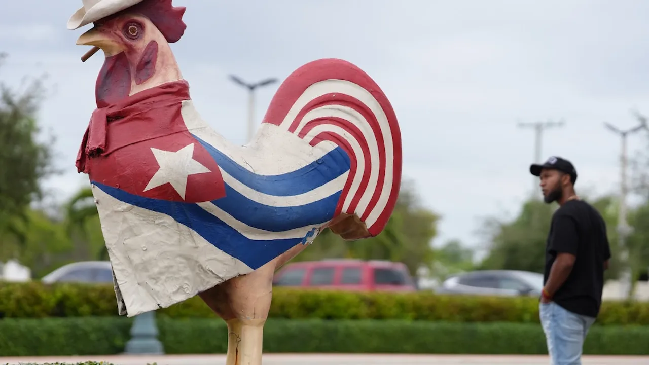 Escultura de un gallo decorado con la bandera cubana y un hombre de pie en una plaza de Miami.