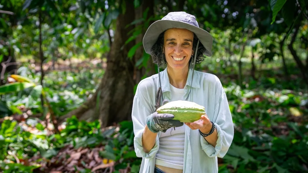 Mujer sonriente con sombrero y guantes sostiene una mazorca verde de cacao en medio de una densa plantación.