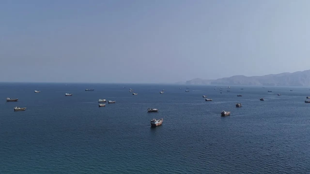 Decenas de embarcaciones navegan en aguas abiertas frente a una costa montañosa bajo un cielo despejado.