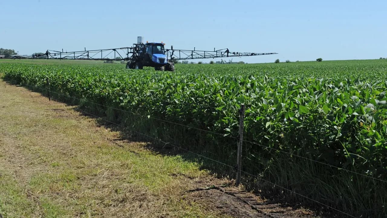 Un tractor agrícola fumiga un extenso cultivo verde de soja en un campo abierto bajo cielo despejado.