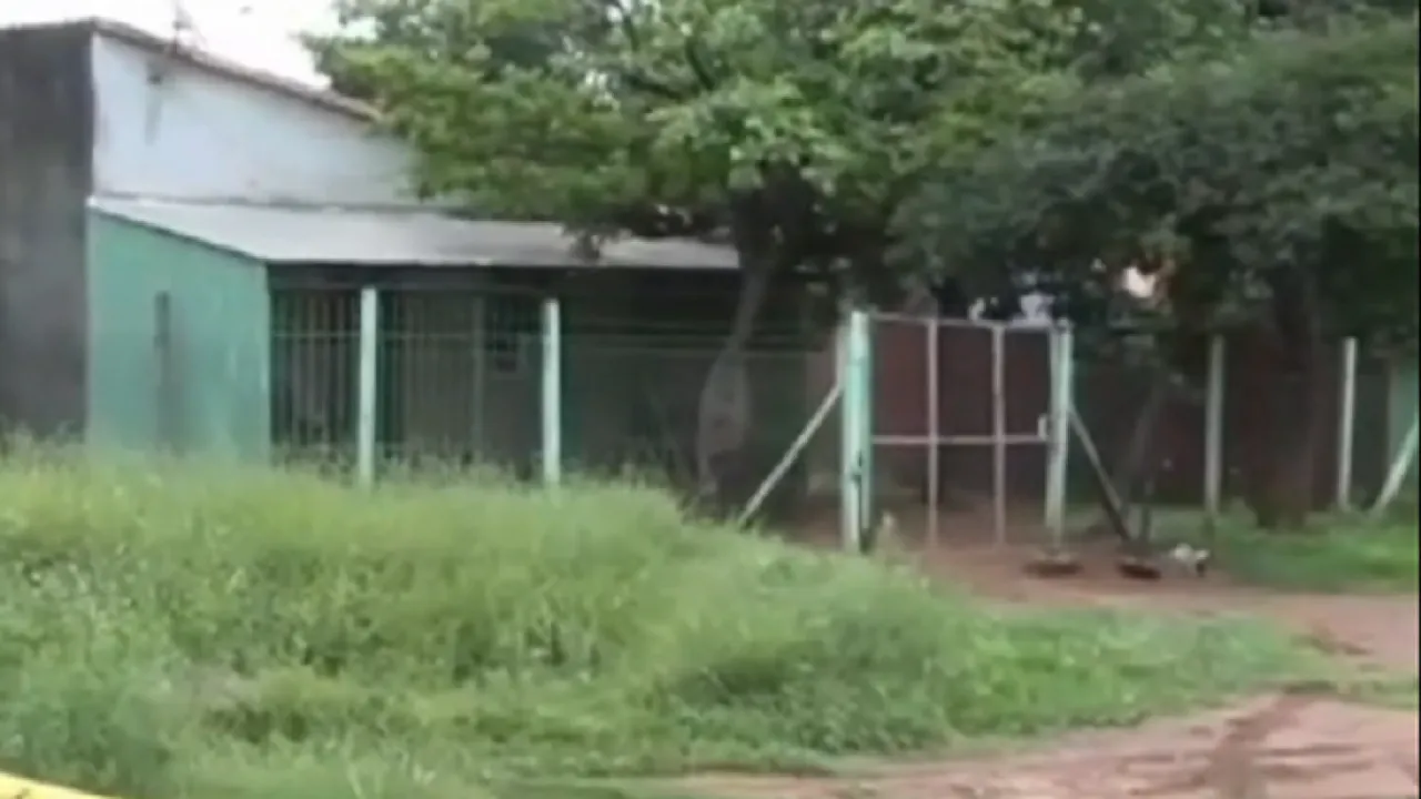 Fachada de una vivienda con portón de rejas metálicas rodeada de árboles y vegetación sobre calle de tierra.