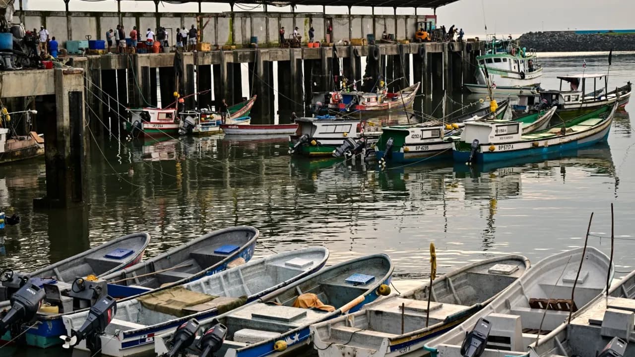 Botes pesqueros artesanales amarrados junto al muelle de una terminal marítima de aguas calmas