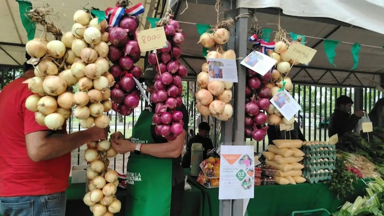 Ristras de cebollas blancas y moradas colgadas a la venta en un puesto de feria agrícola al aire libre
