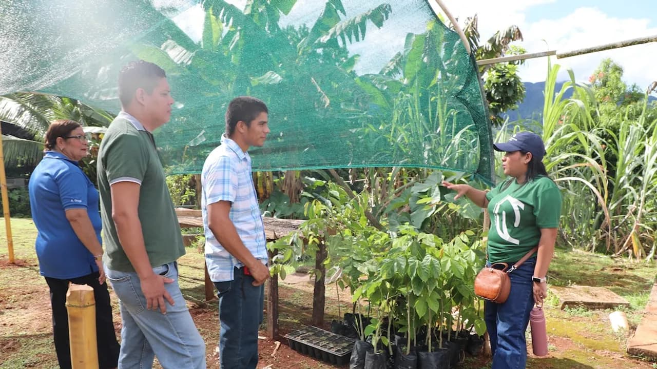 Una mujer con gorra y remera verde explica el cultivo de plantines a tres personas bajo una malla de sombra.