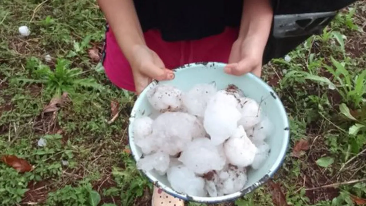 Una persona sostiene una palangana esmaltada llena de grandes pedazos de granizo blanco tras el temporal.