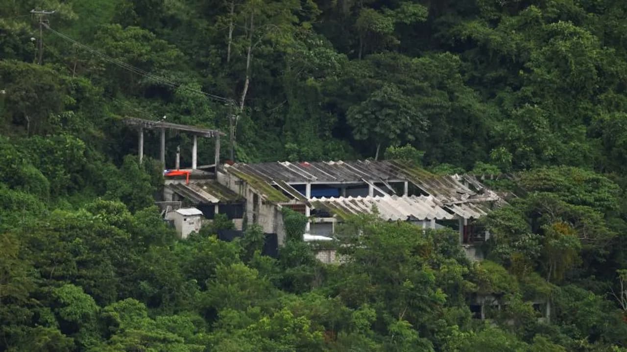 Estructura de hormigón con techo deteriorado oculta entre la densa vegetación de una montaña.