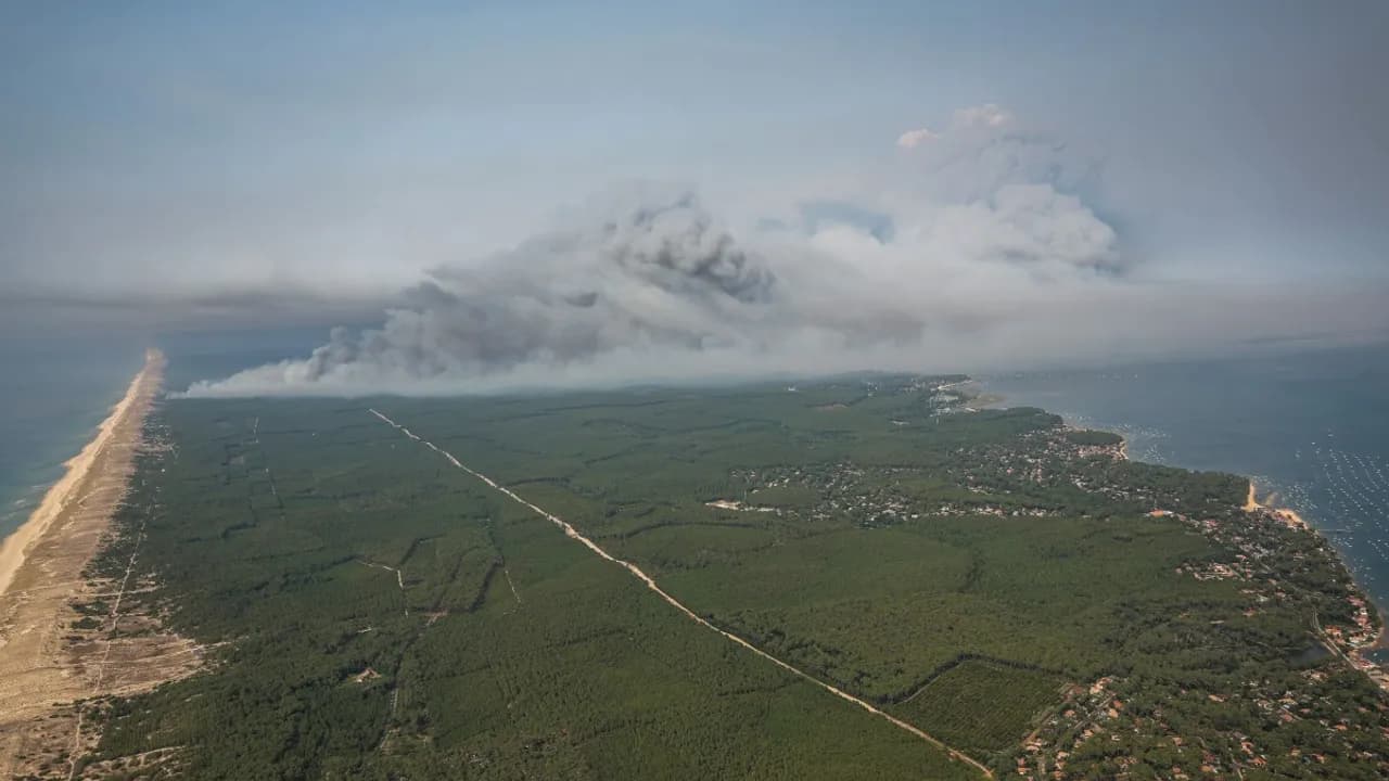 Vista aérea de una densa columna de humo blanco elevándose sobre un extenso bosque verde junto a la costa marítima.