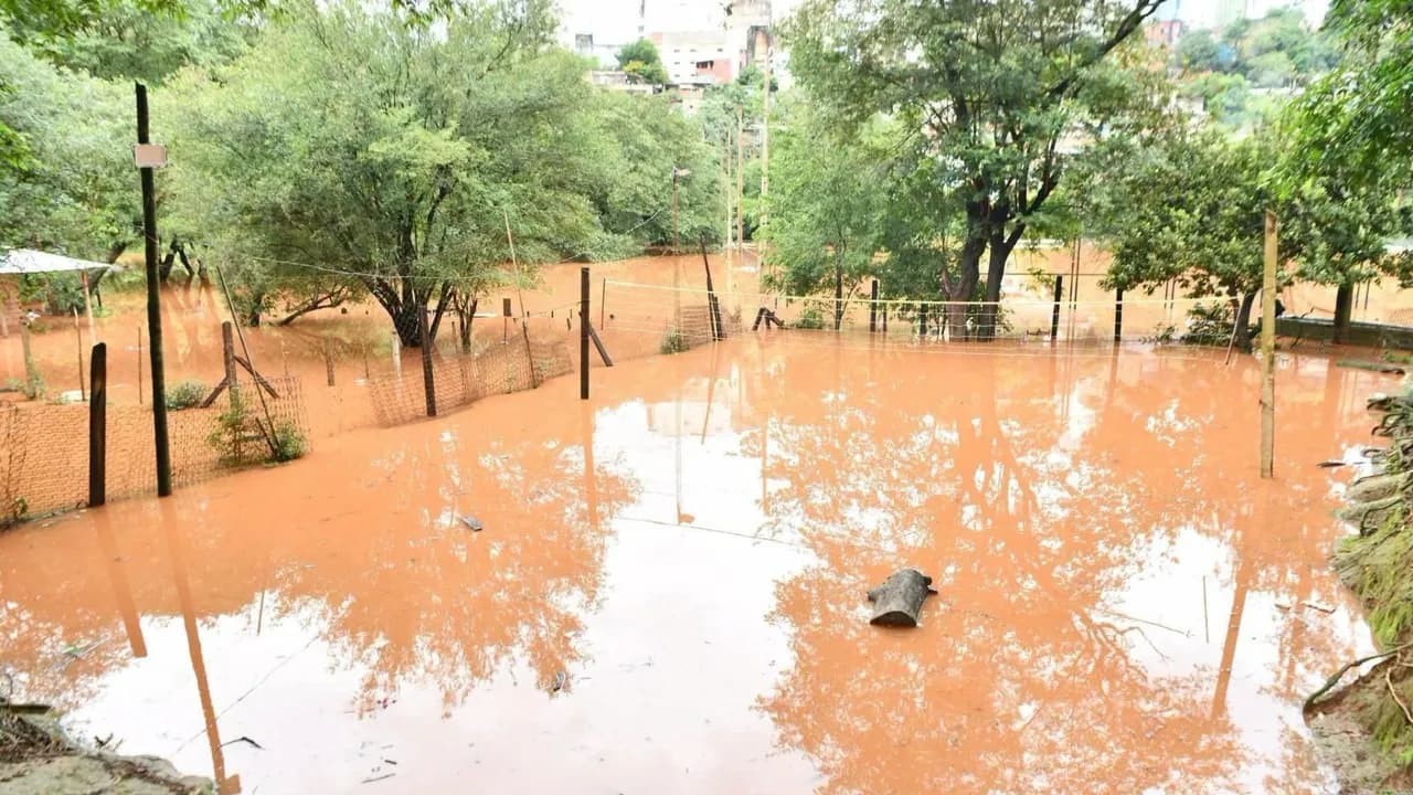 Cancha deportiva y patio anegados por agua turbia de color marrón entre árboles y alambrados.