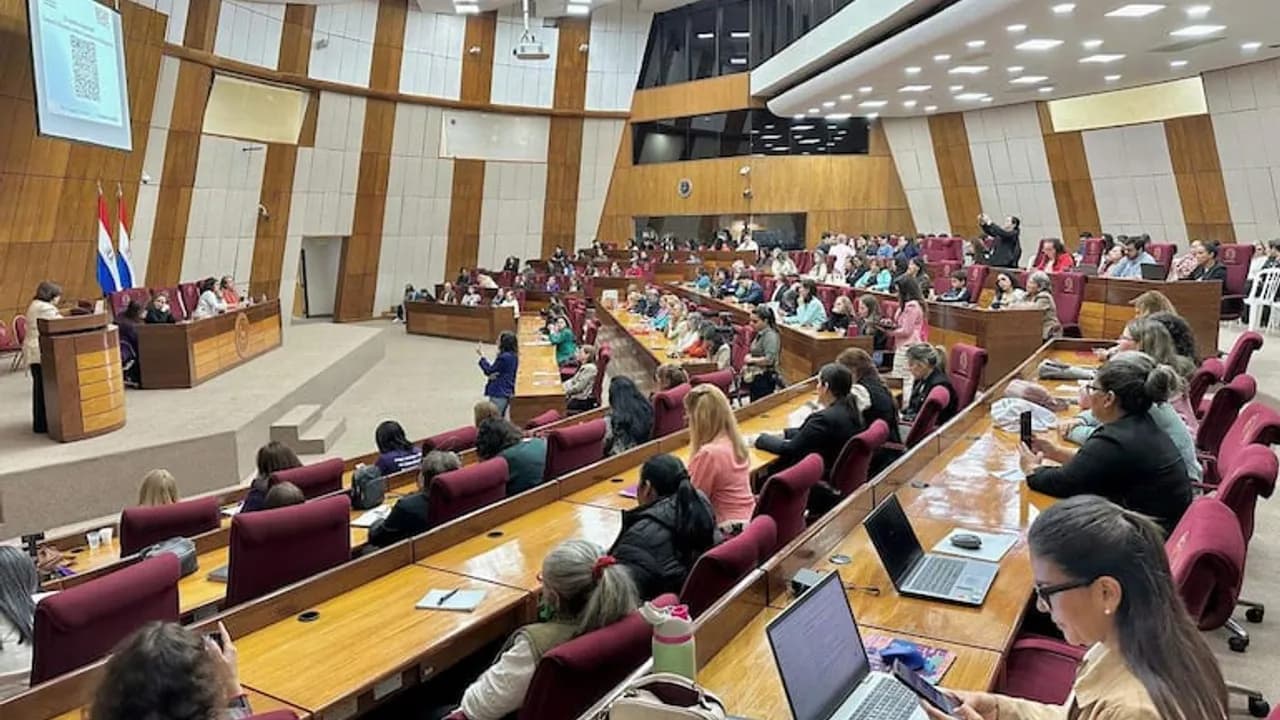 Auditorio parlamentario ocupado por participantes durante una audiencia sobre violencia de género en Paraguay.