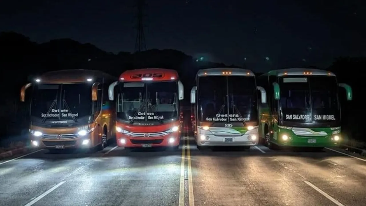 Cuatro autobuses de larga distancia estacionados en una carretera de noche con las luces encendidas.