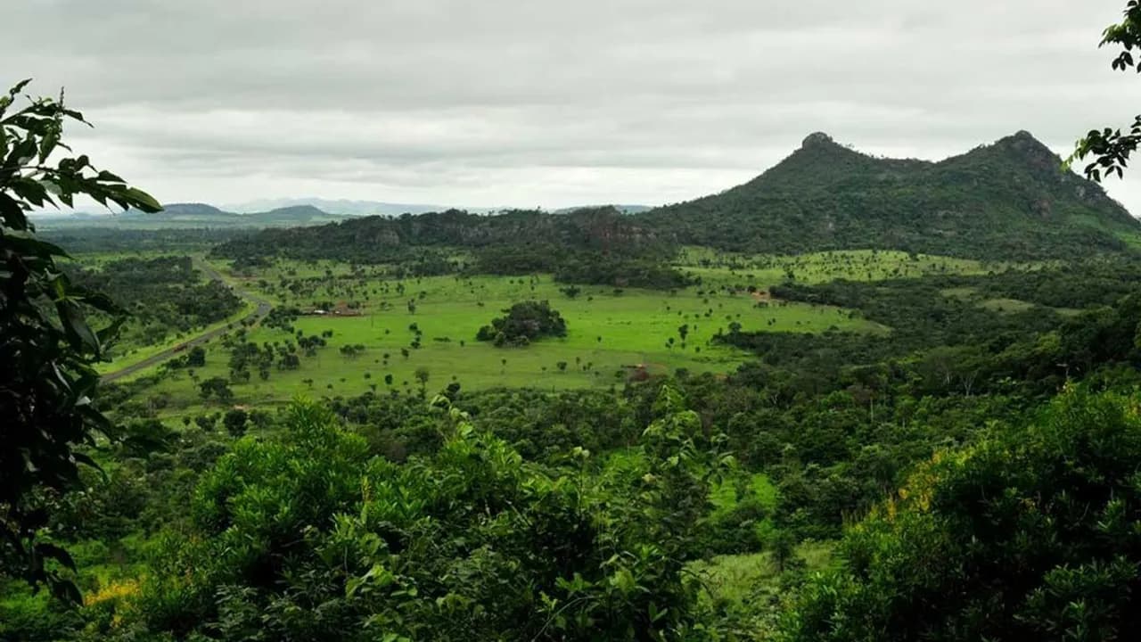 Colinas verdes y vegetación boscosa bajo un cielo nublado en un entorno natural protegido.
