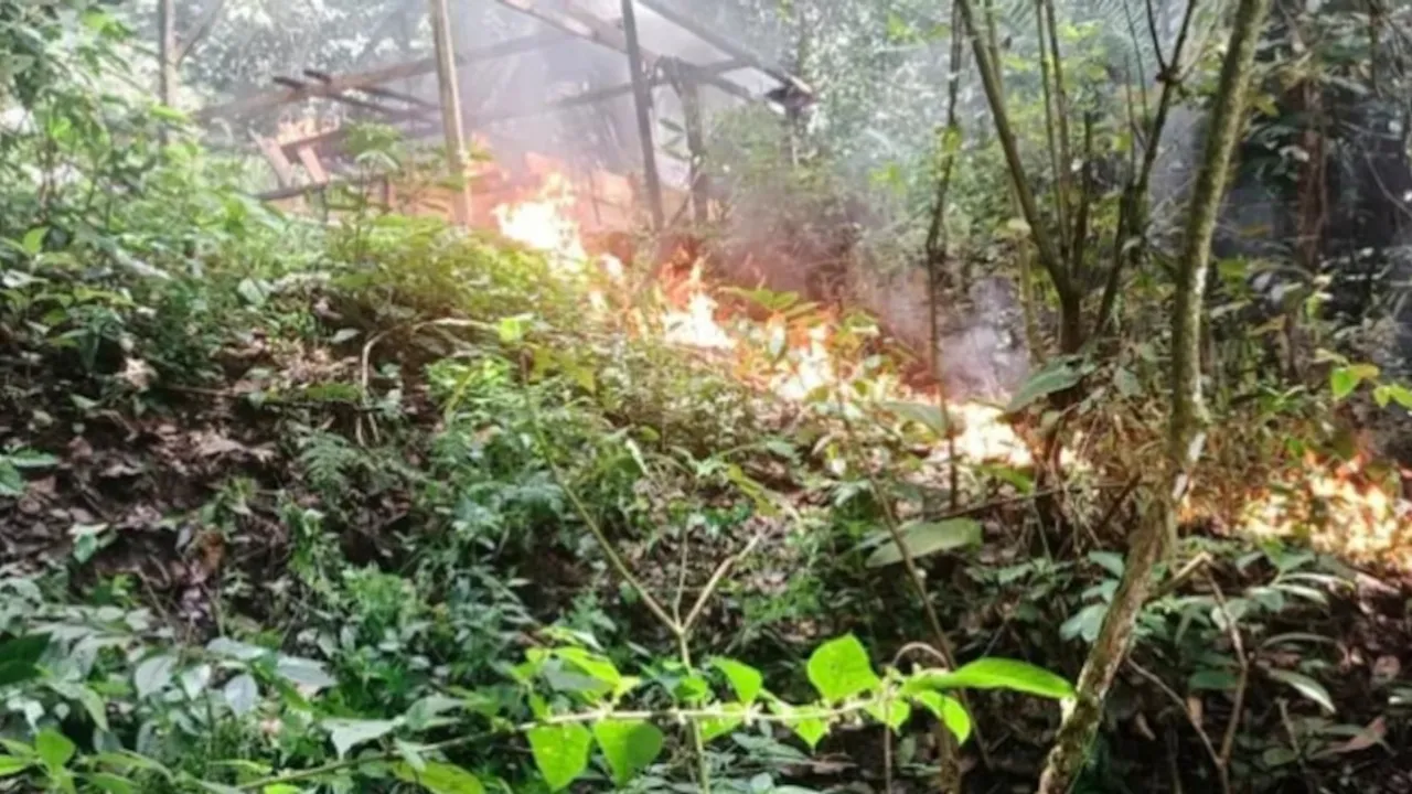 Estructura precaria de madera ardiendo en llamas en medio de una densa vegetación selvática y montañosa.