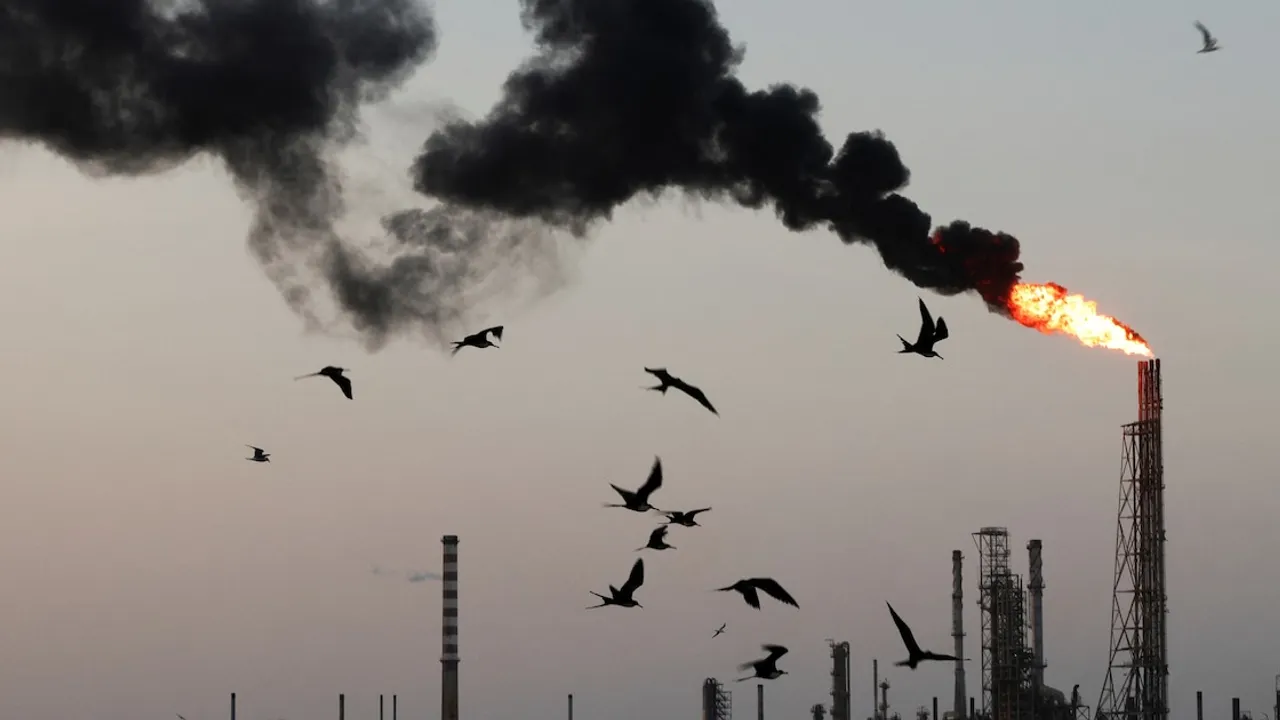 Chimenea industrial de refinería emitiendo una llamarada y humo oscuro mientras varias aves vuelan en el atardecer.