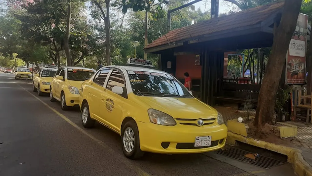 Fila de taxis amarillos estacionados al costado de una parada techada en una calle urbana arbolada.