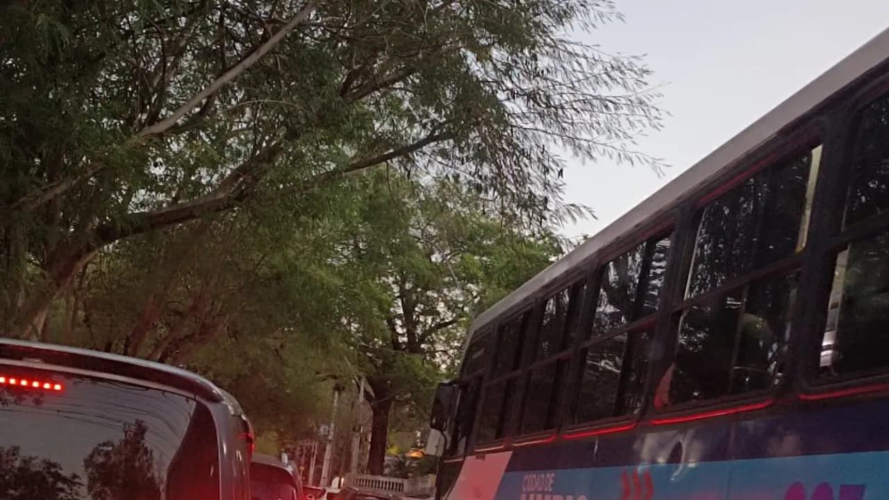 Fila de vehículos y un transporte público demorados en el tráfico junto a árboles urbanos al atardecer.