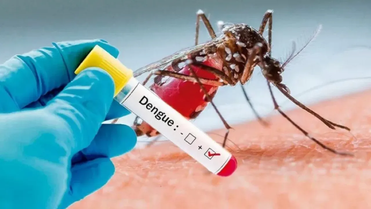 Mano enguantada sosteniendo un tubo de ensayo con resultado positivo frente a un mosquito sobre la piel
