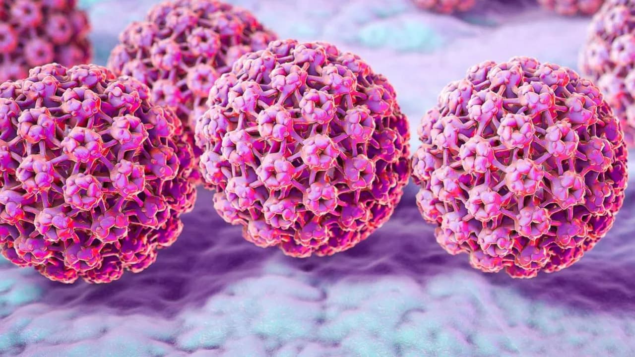 Ilustración tridimensional de partículas esféricas del virus del papiloma humano con relieve en tonos púrpuras y violetas.