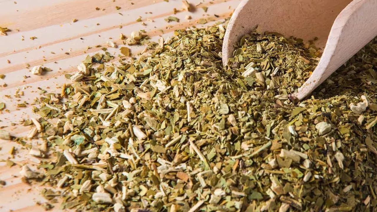 Hojas trituradas de yerba mate con palos sobre una mesa de madera junto a una cuchara dosificadora de madera.